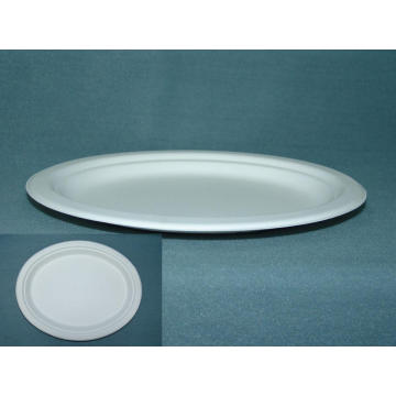 Sugarcane Pulp Bagasse Food Plate Various Sizes and Biodegradable